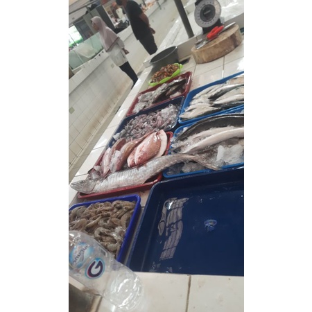 

ikan laut