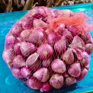 

Bawang Merah (Brebes) Gede Rata 1,5 Kg