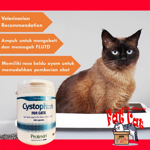 Obat Urinary Cystophan obat susah kencing kucing seperti cystaid plus