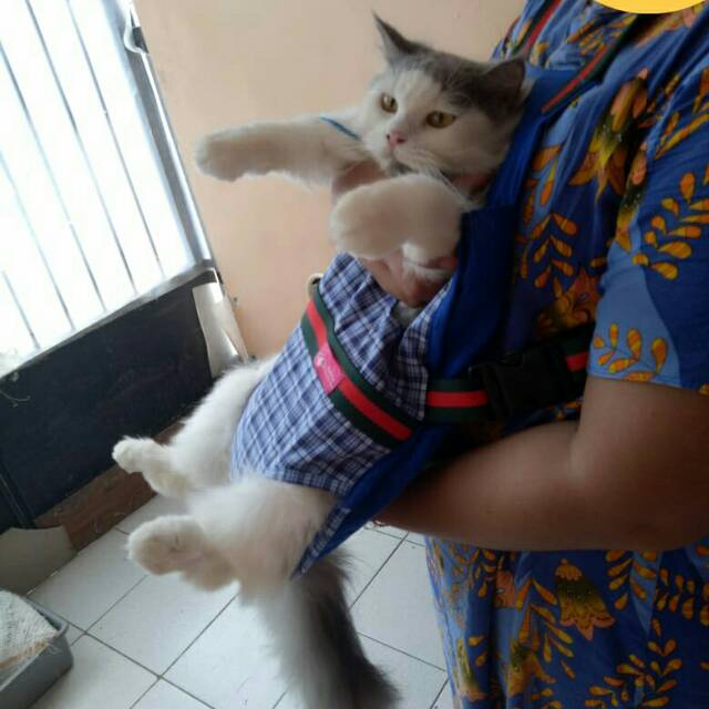 Gendongan kucing motif kotak-kotak biru untuk kucing dan anjing murah meriah terlaris 2018