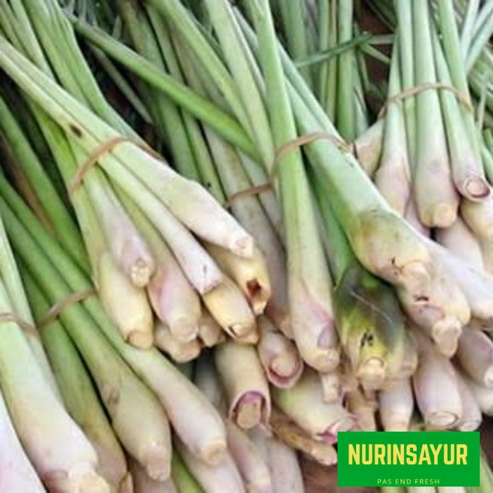 

Dijual sereh Diskon