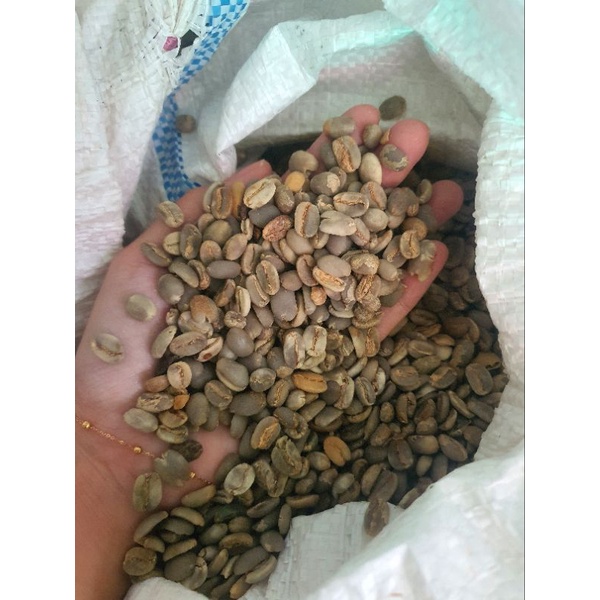 

Arabica Green Bean Coffee Wamena Papua - Biji Kopi Hijau Arabika Wamena Papua