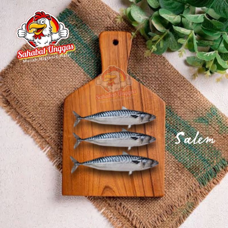 

Ikan Salem 500gr