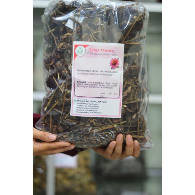 

Ekinase Kering Premium