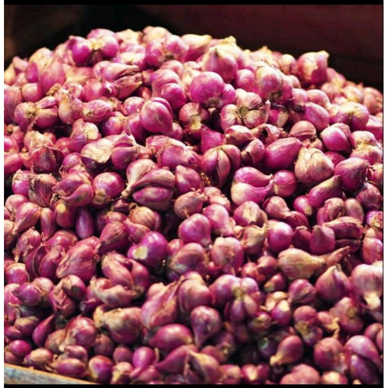

bawang merah 250 gr