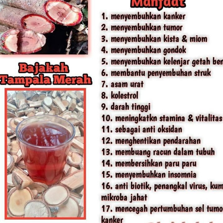 

Bajakah ORIGINAL!! Tampala Merah