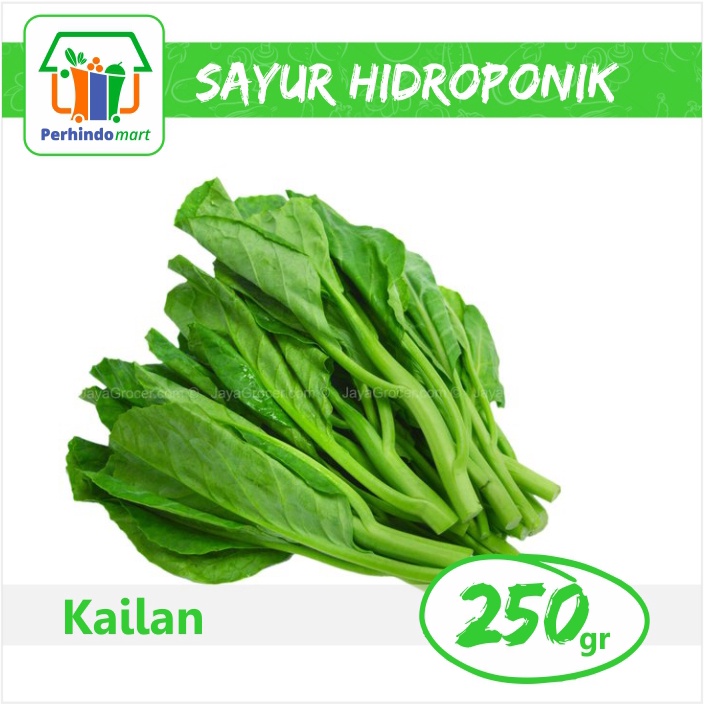 

Kailan Hidroponik (Surabaya & Sidoarjo only)