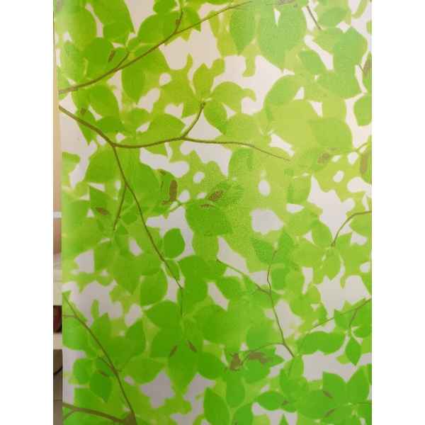 stiker kaca/pelapis kaca/stiker motif daun hijau rindang