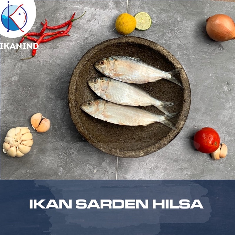 

Ikan Sarden Hilsa 1 kg