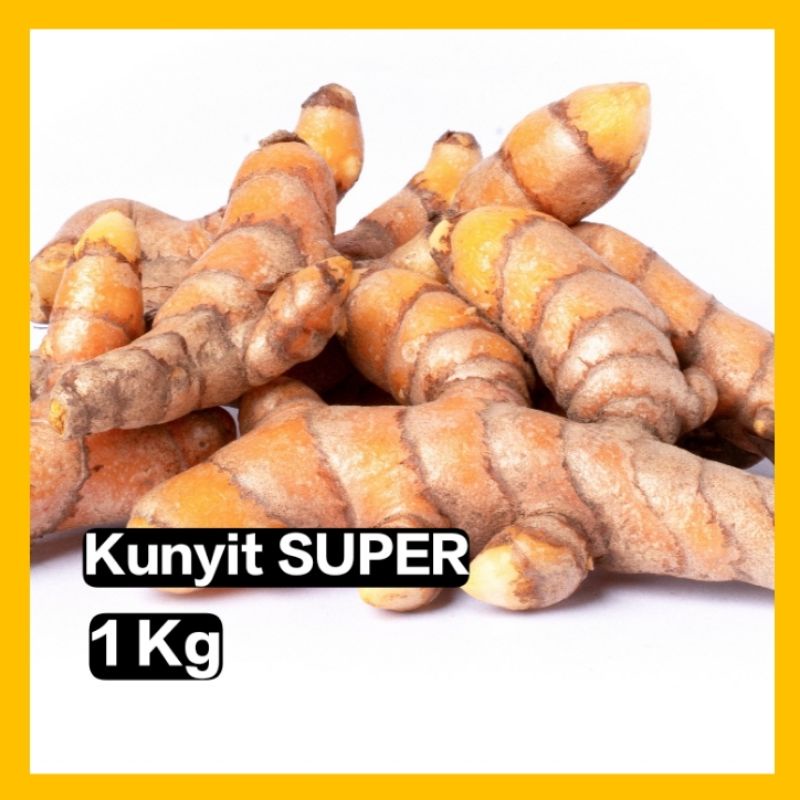 

Kunyit FRESH Kualitas SUPER | 1Kg | UKURAN SUPER DAN BESAR