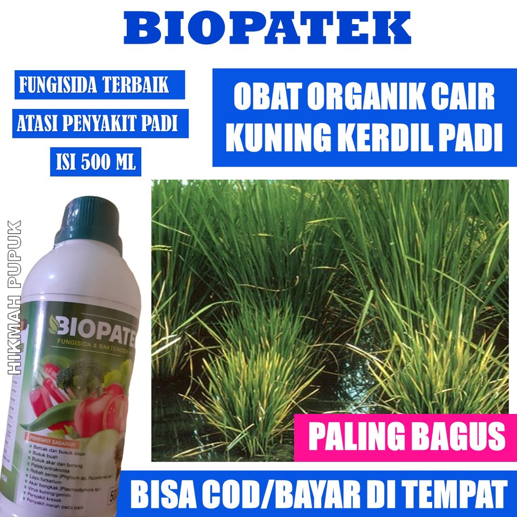 (PROMO) Pupuk ORGANIK Cair Atasi Kerdil Rumput Hampa Padi BIOPATEK Isi 500 ML, Pupuk Padi Terbaik At