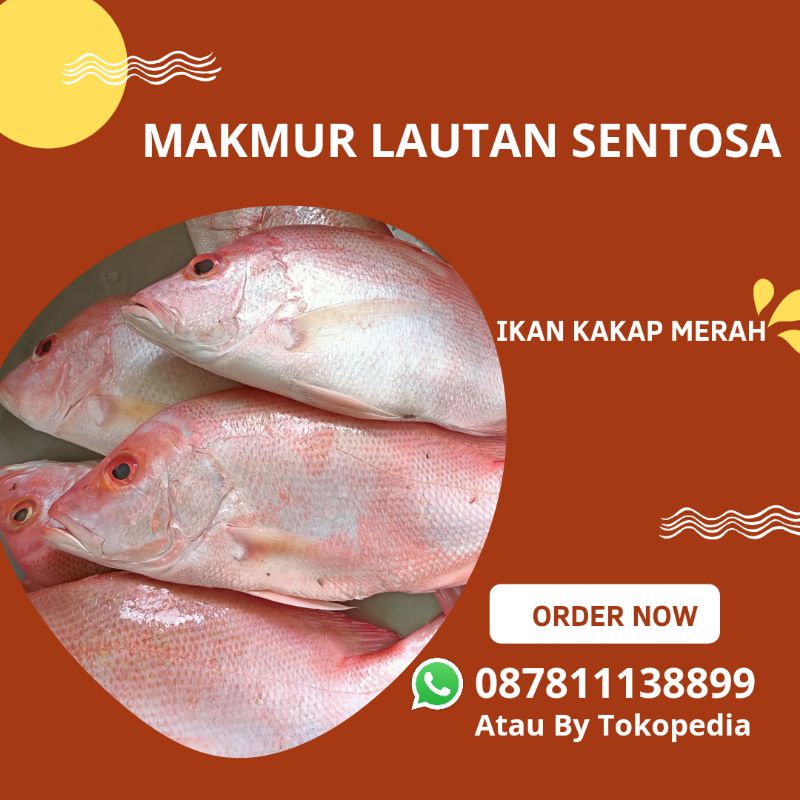 

Kakap Merah Fresh