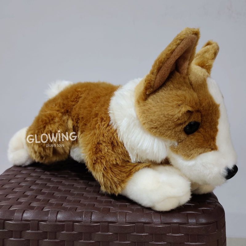 Boneka Corgi