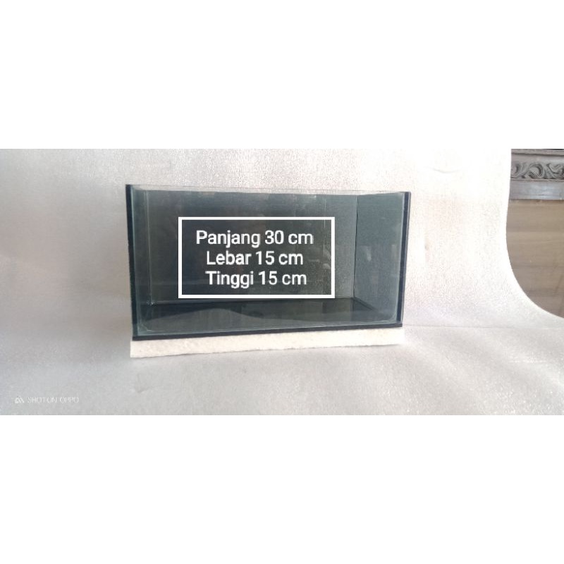 AQUARIUM CUPANG WARNA HITAM AQUARIUM CHANA