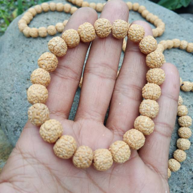 Gelang jenitri rudraksha genitri