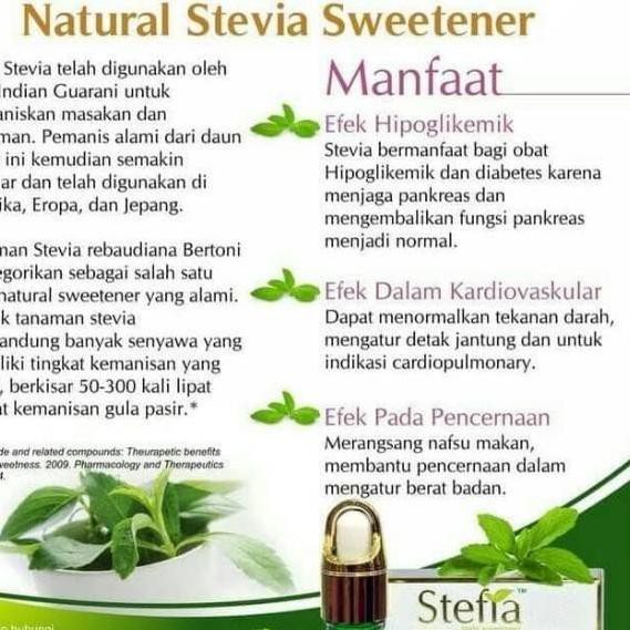 

BISA COD Gula Stevia pengganti gula nol kalori (sweatener)