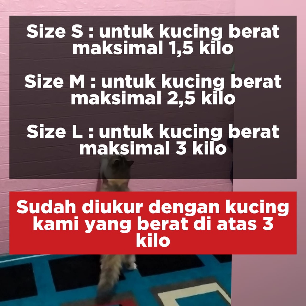 Baju kucing + Kalung lucu (sepaket)