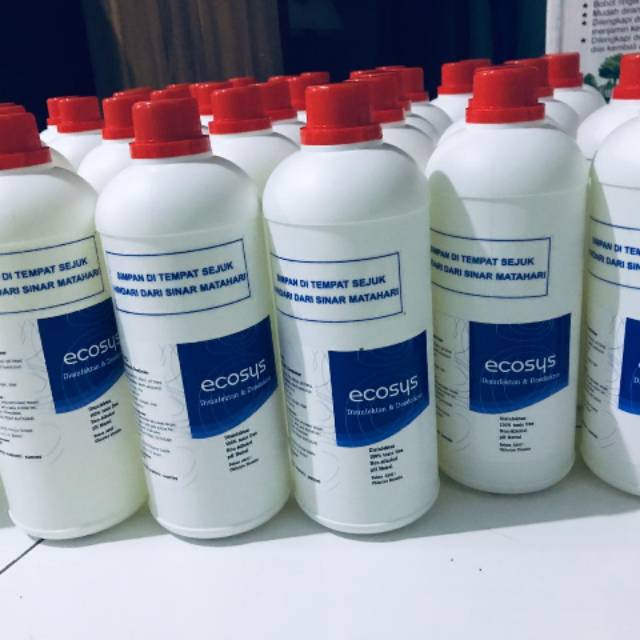 Ecosys