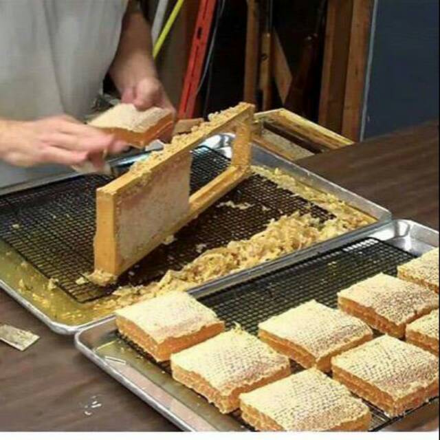 

Madu sarang