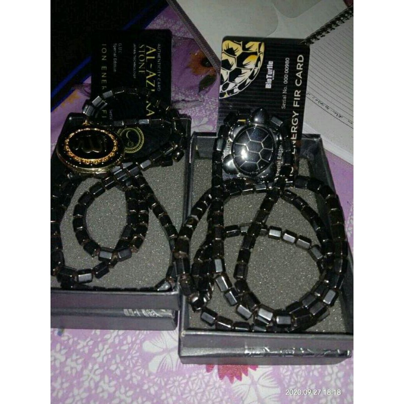 Al-Ashka, Bio Turlle & Kraftig Pendant