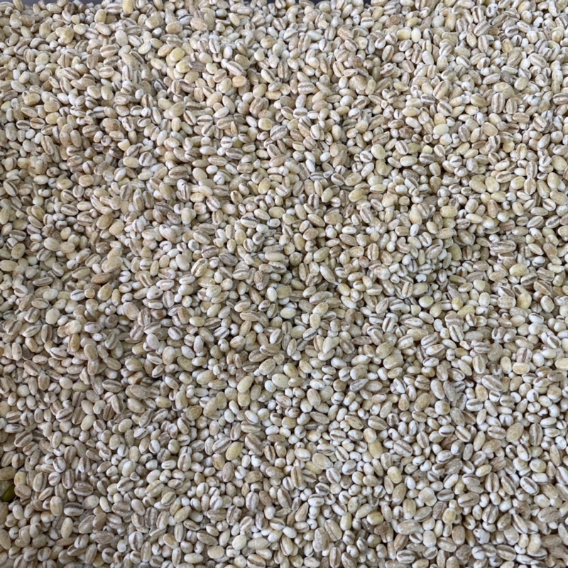 

Jali Cungkok/ Jali jali Cungkok/ Jali Jali 200gr