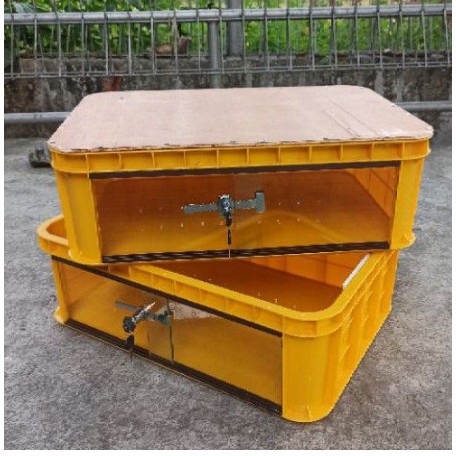 Terrarium Kandang Reptile Ular Torto Varanus