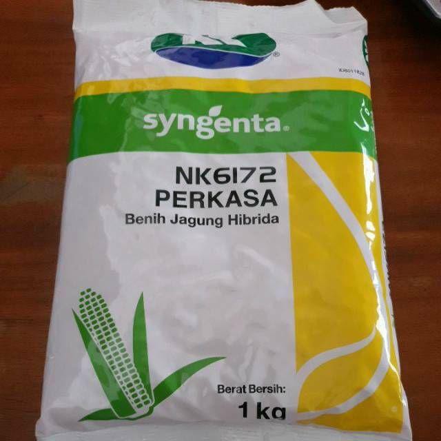 Benih Jagung NK-6172 Perkasa 1kg Syngenta