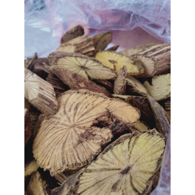 

Akar Bajakah kuning asli kalimantan