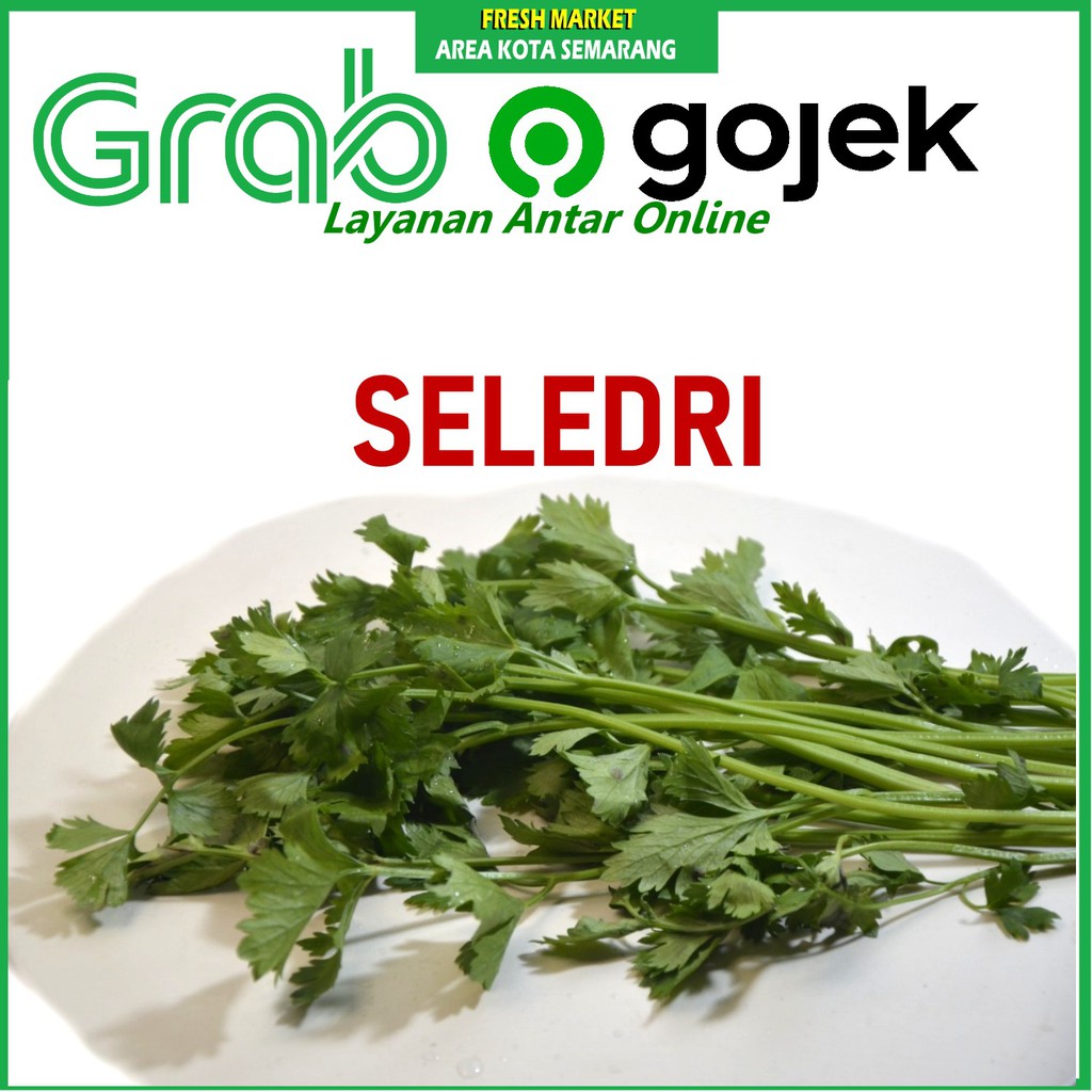 

[FRESH MARKET] Seledri Sayur Segar 50gr KIRIM GRAB area kota semarang