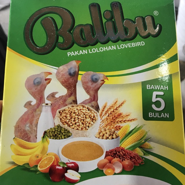 BALIBU PAKAN LOLOHAN ANAKAN LOVEBIRD PRODUKSI EBOD JAY