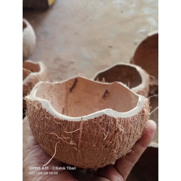 batok kelapa bahan kerajinan