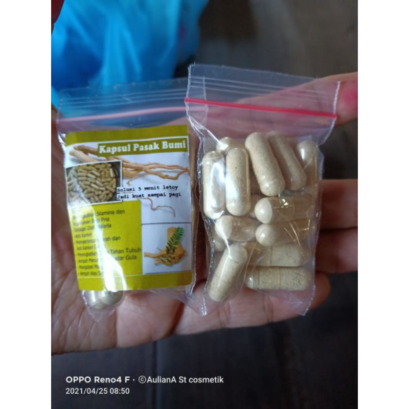 kapsul pasak bumi herbal