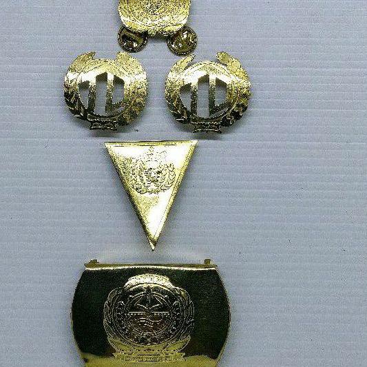 Siap Kirim.. Atribut PDH Taruna STTD / STTD Bekasi / PTDI - STTD / Politeknik Transportasi Darat Ind