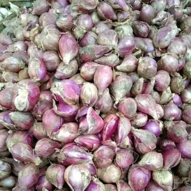 

Bawang Merah 1/2kg