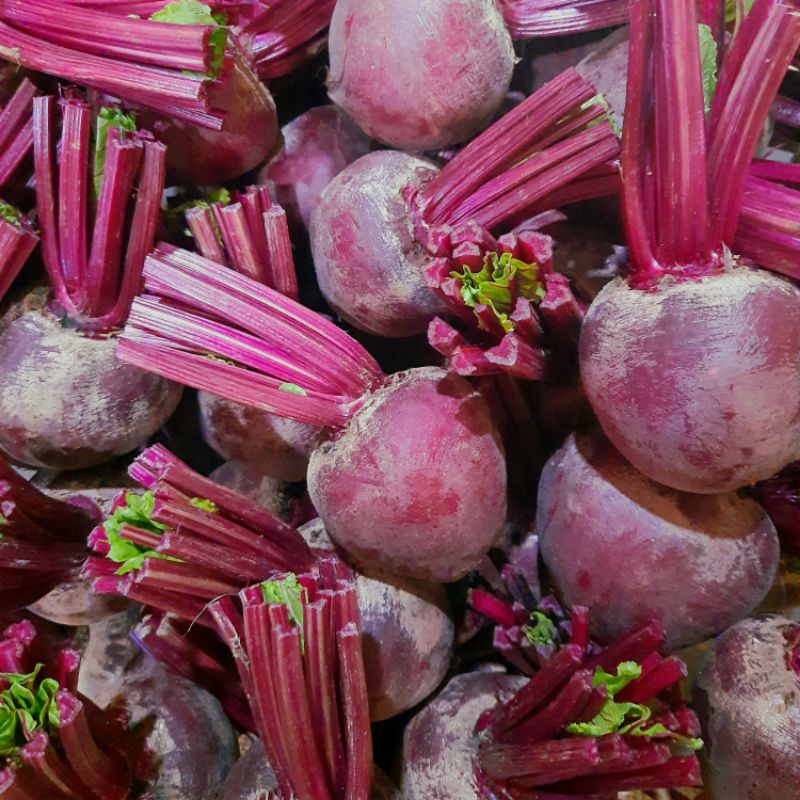 

Buah Bit 1kg fresh beet root 1 kg dari kebun langsung