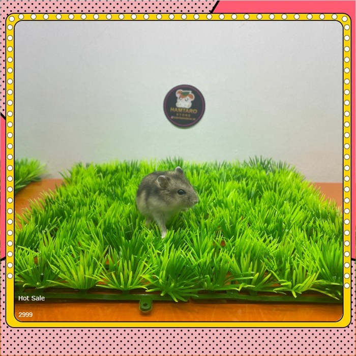 rumput halus sintetis ,rumput sintetis aquarium