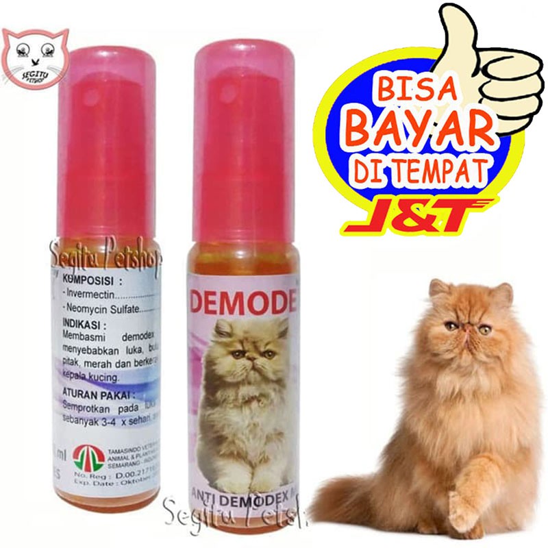 OBAT LUKA KUCING BULU RONTOK BOTAK KORENG JAMUR DEMODEX  Shopee 