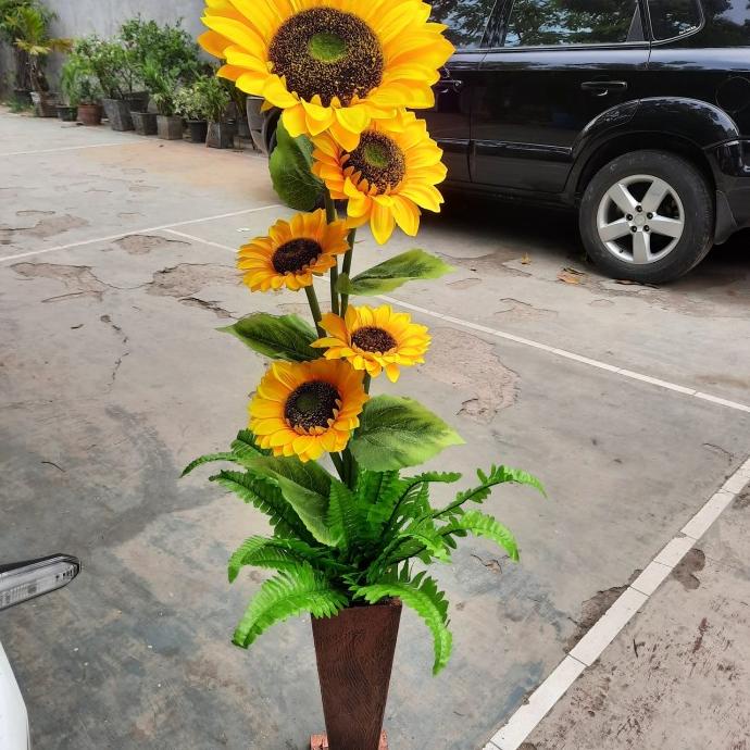 bunga matahari bunga sudut ruangan