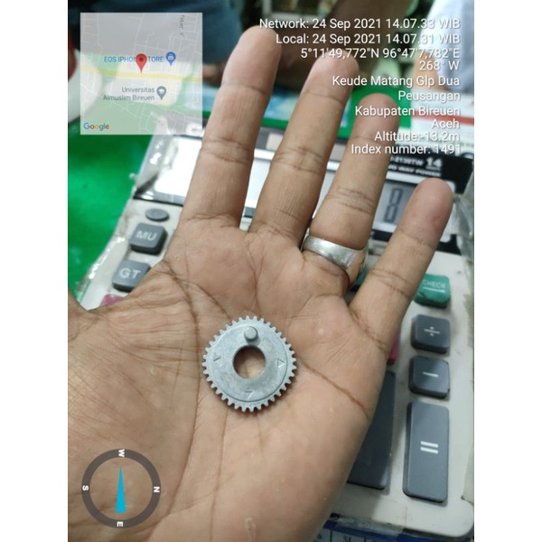 OSG  REEL SHIMANO ALIVIO