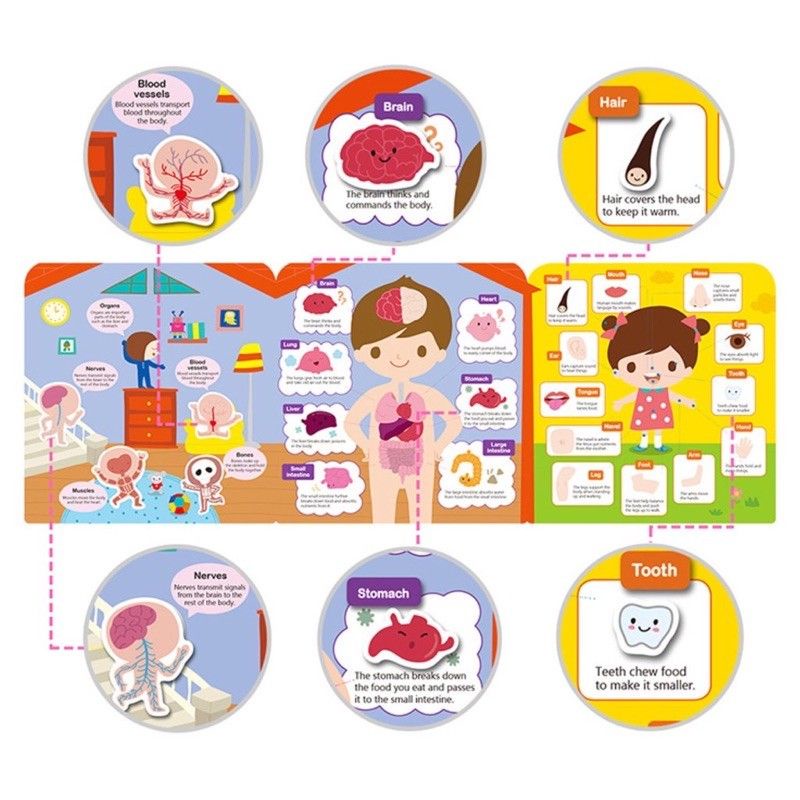 Reusable First Sticker for Baby Kids Dipakai Berulang Ulang Waterproof BBW Usborne Activity Book