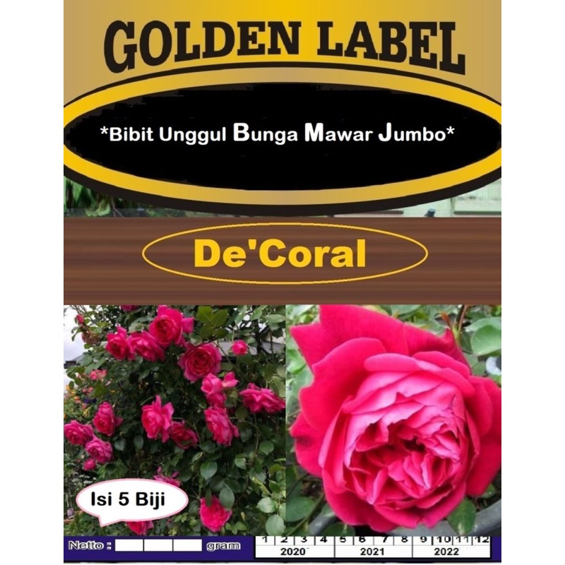Bibit Unggul Mawar Jumbo | Benih Bunga Rose Jumbo | Benih Bunga Mawar