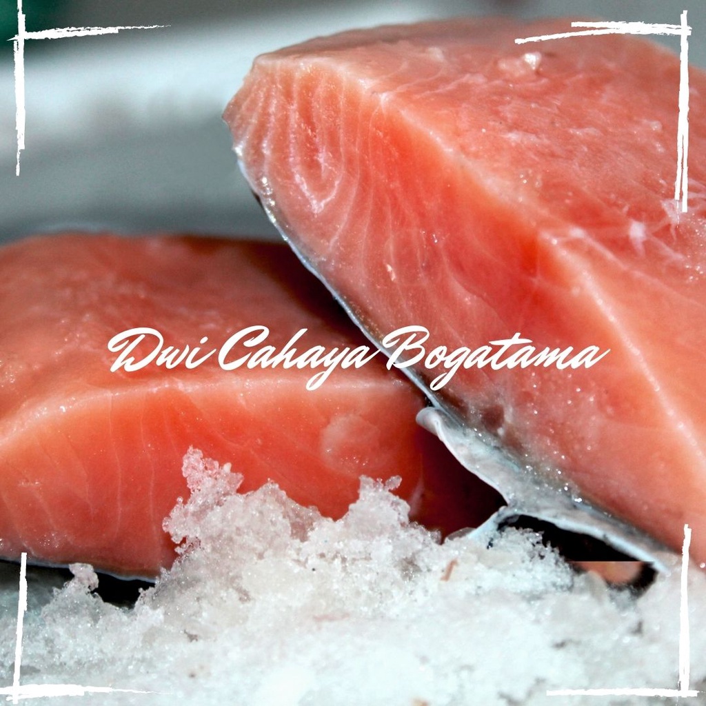 

Ikan Salmon Fillet Frozen