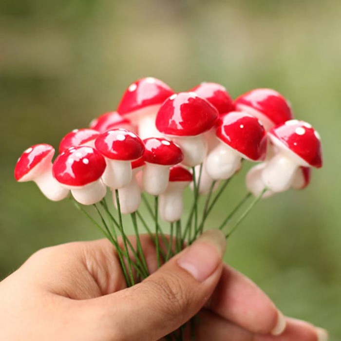 Mini Red Mushroom (10 pcs)