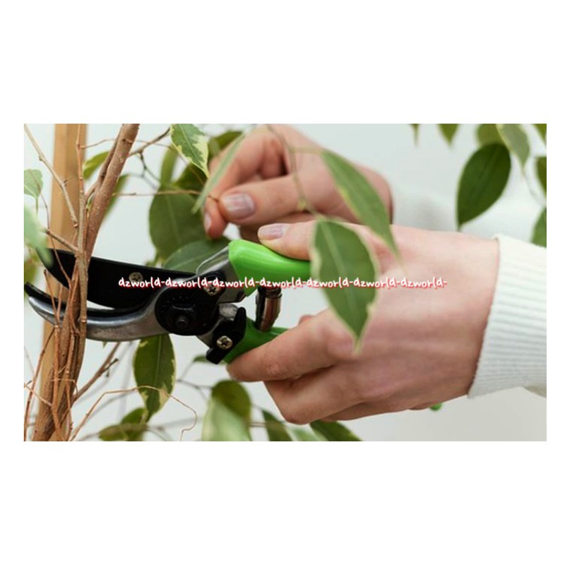 Yardsmith Branch Scissors Plant Gunting Dahan Tanaman Taman Berkebun Model Bypass Green Yard Smith