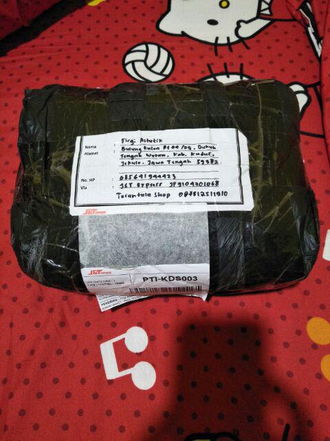 Promo Motif Random Atau Tidak Bisa Pilih Motif Untuk Etalase Ini! Kitchen Set Termurah