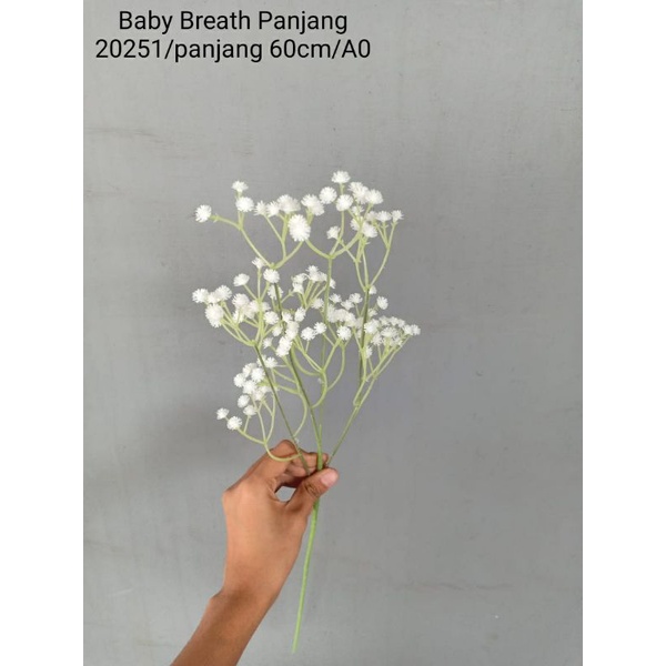 Baby Breath Panjang 20521 [BEST SELLER]