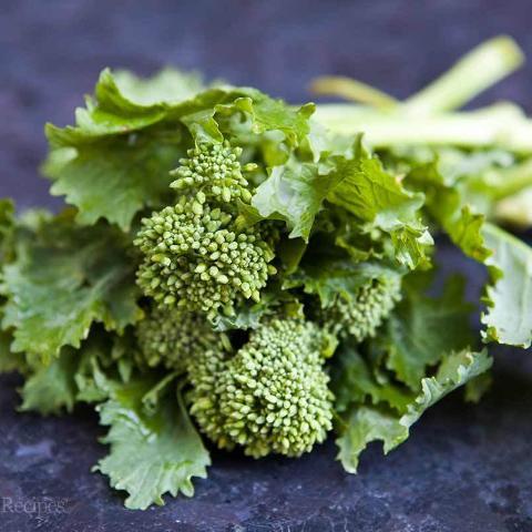 Benih Bibit Biji - Broccoli (Spring) Raab Rapini Brokoli Mini Brassica rapa var. Ruvo Seeds - IMPORT