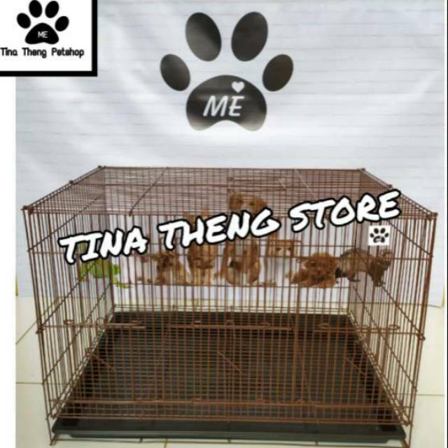 Kandang Kucing Anjing JUMBO 60x40x40-1