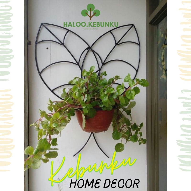 KEBUNKU Gantungan Pot Bunga Besi Unik pajangan tembok dekorasi model Daun