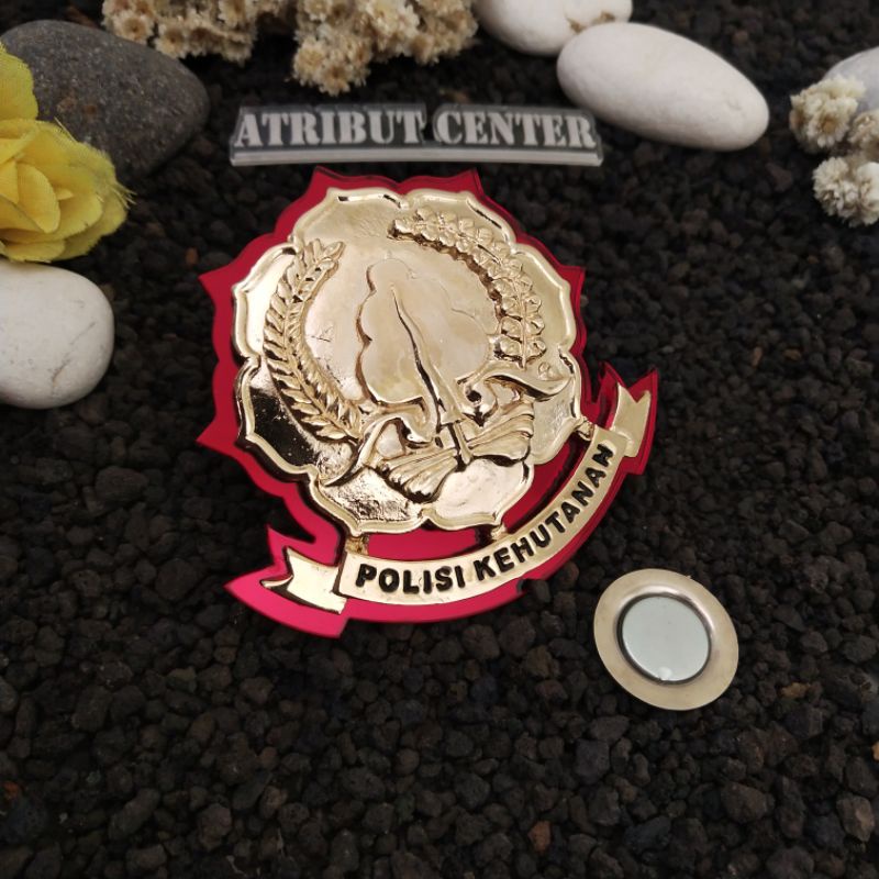 Pin Polhut